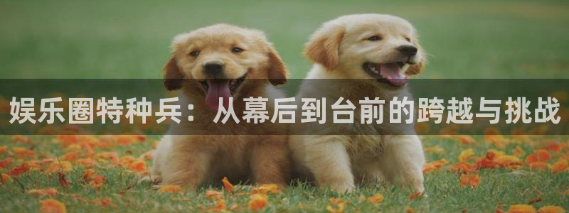 蓝图娱乐：娱乐圈特种兵：从幕后到台前的跨越与挑战