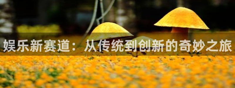 蓝图娱乐平台主管：娱乐新赛道：从传统到创新的奇妙之旅