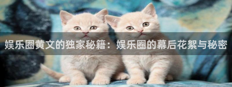 蓝图娱乐平台主管：娱乐圈黄文的独家秘籍：娱乐圈的幕后花絮与秘密