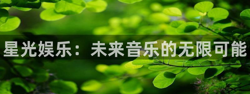 蓝图娱乐：星光娱乐：未来音乐的无限可能
