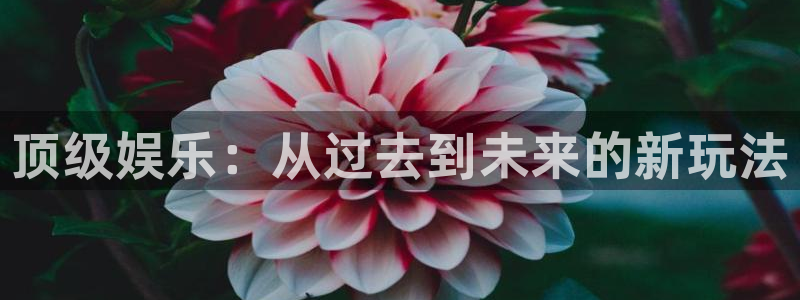 蓝图娱乐平台主管：顶级娱乐：从过去到未来的新玩法