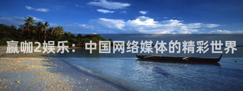 蓝图娱乐平台主管：赢咖2娱乐：中国网络媒体的精彩世界