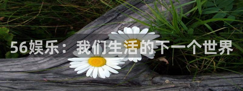 蓝图娱乐平台：56娱乐：我们生活的下一个世界