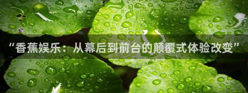 蓝图娱乐官网入口：“香蕉娱乐：从幕后到前台的颠覆式体验改变”