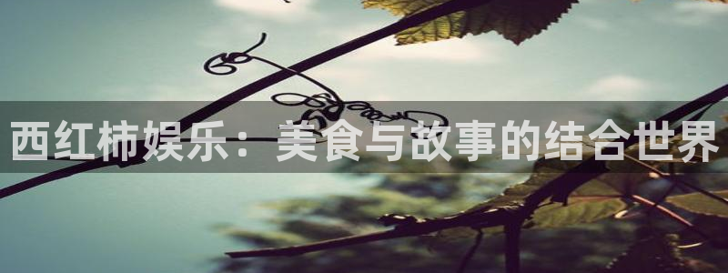 蓝图娱乐平台：西红柿娱乐：美食与故事的结合世界