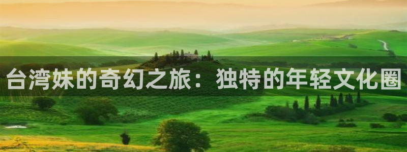 蓝图娱乐：台湾妹的奇幻之旅：独特的年轻文化圈