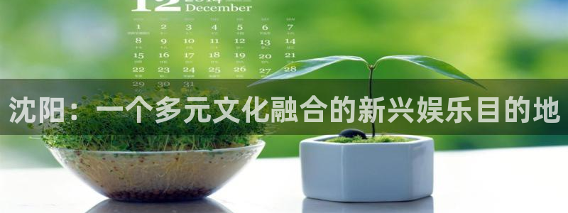 蓝图娱乐平台：沈阳：一个多元文化融合的新兴娱乐目的地