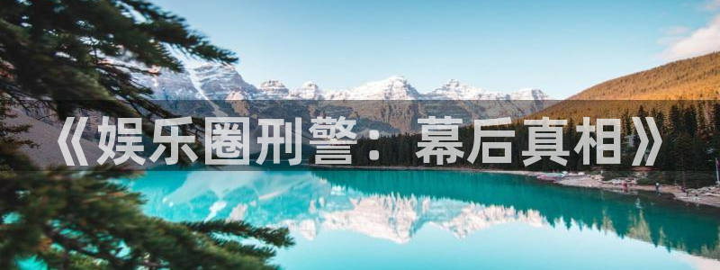 蓝图娱乐平台主管：《娱乐圈刑警：幕后真相》